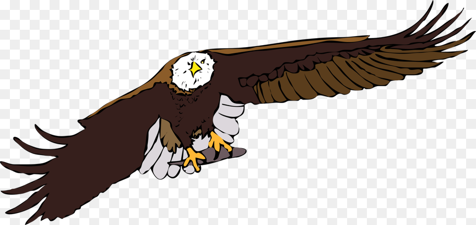 Eagle In Flight Clipart Clip Art Images, Animal, Bird, Bald Eagle, Person Free Png Download