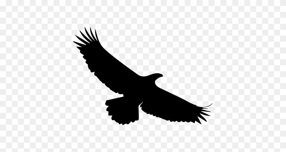 Eagle In Sky Silhouette, Gray Png