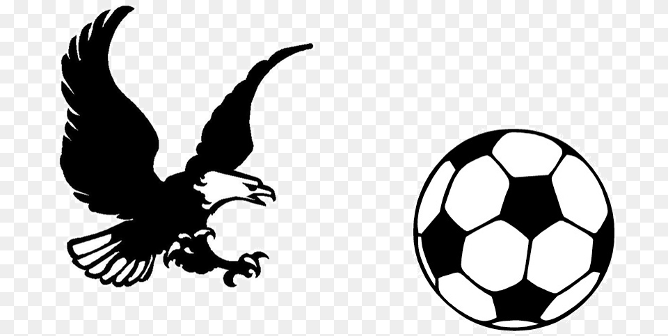 Eagle Logo Clipart, Stencil, Ball, Sport, Soccer Ball Png Image