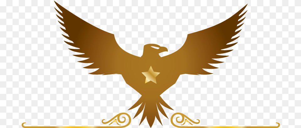Eagle Logo Hd, Animal, Bird, Emblem, Symbol Free Transparent Png