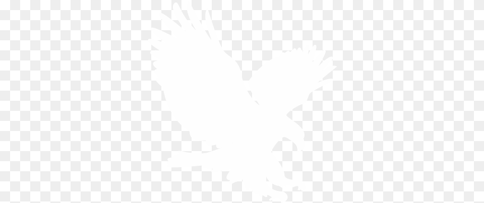 Eagle Metals Logo White Eagle Logo, Baby, Person, Animal, Bird Png Image
