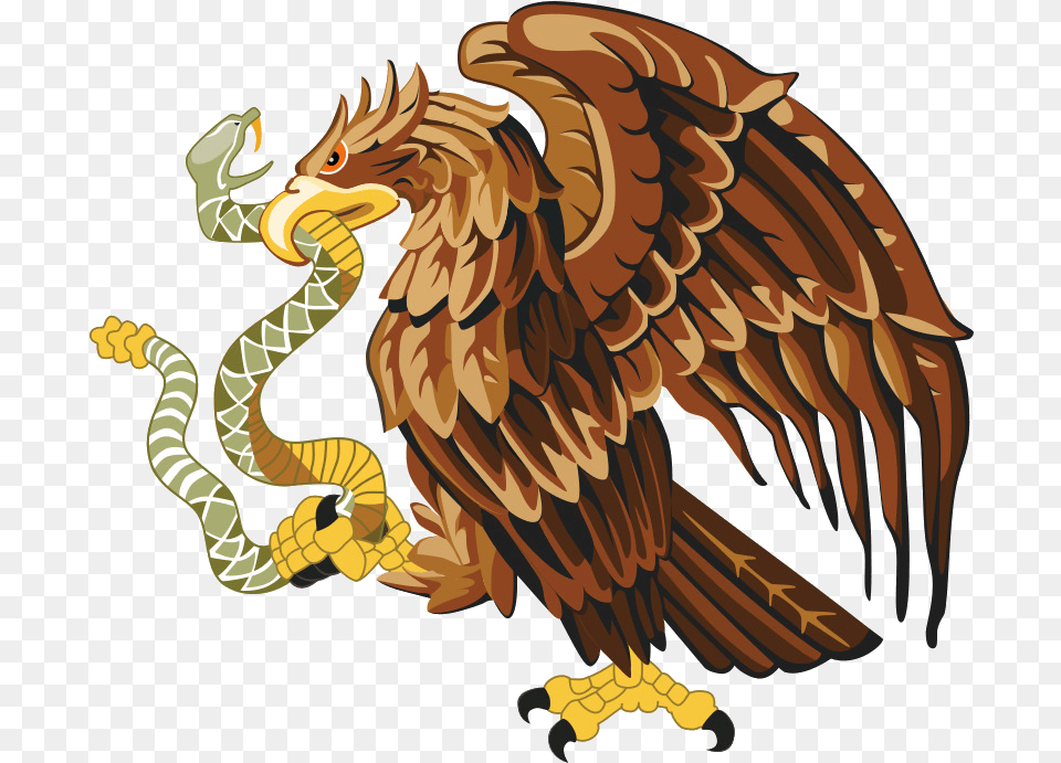 Eagle Mexican Clipart Mexico Cuisine Bald, Animal, Bird, Chicken, Fowl Png