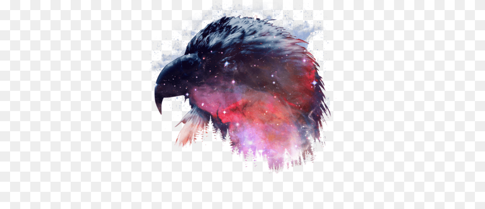 Eagle Nebula Cool Bird Animal Hicustom Galaxy, Astronomy, Outer Space, Night, Nature Png