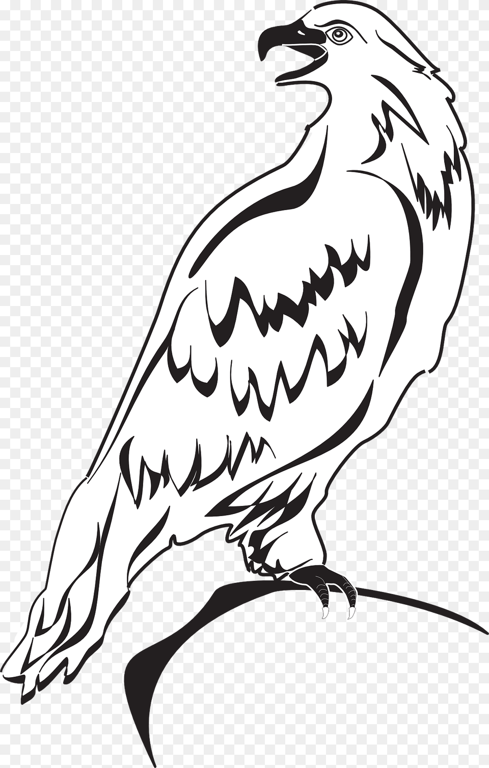 Eagle On Branch Clipart, Animal, Bird, Vulture, Fish Png