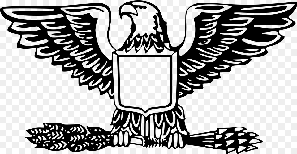 Eagle Outline, Gray Free Png Download