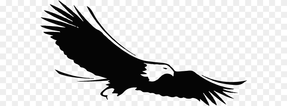 Eagle Print Solutions Logo Eagle Logos, Animal, Bird, Flying, Vulture Free Transparent Png