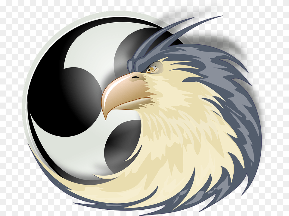 Eagle Raptor Bird Of Prey Free Vector Graphic On Pixabay Aguia De Rapina Desenho, Animal, Beak Png