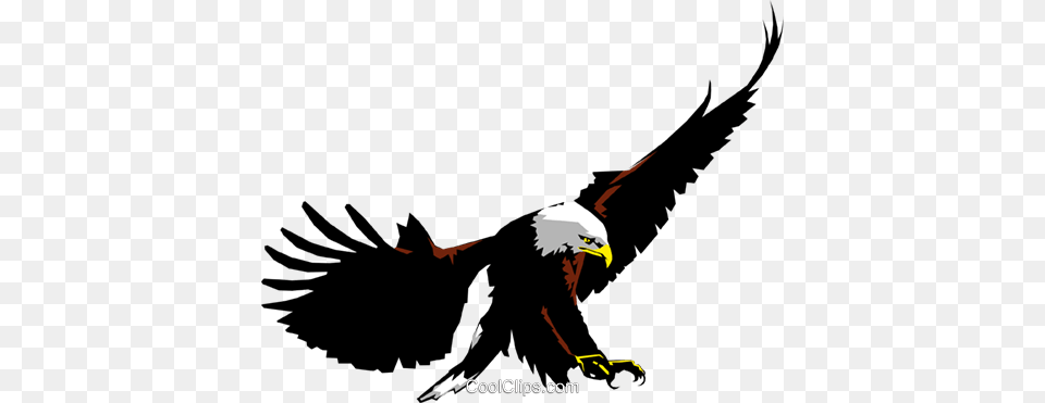 Eagle Royalty Vector Clip Art Illustration, Animal, Bird, Beak, Person Free Png Download
