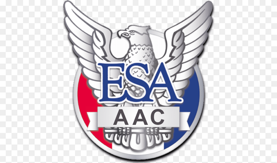 Eagle Scout, Badge, Emblem, Logo, Symbol Png