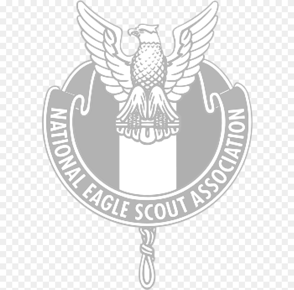 Eagle Scout Logo National Eagle Scout Association Logo, Badge, Emblem, Symbol, Animal Free Png Download