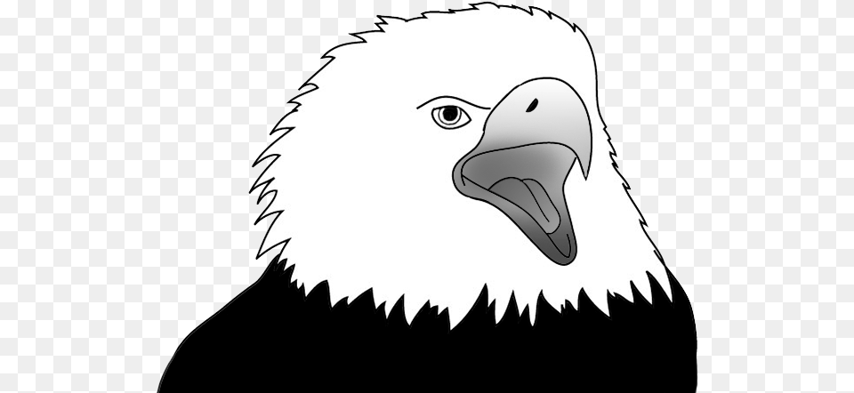 Eagle Screaming Sketch Cartoon, Animal, Beak, Bird, Bald Eagle Free Transparent Png