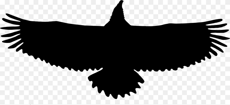 Eagle Silhouette, Gray Free Png