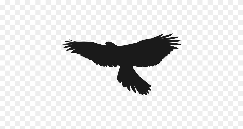 Eagle Silhouette, Animal, Bird, Flying, Blackbird Free Png Download