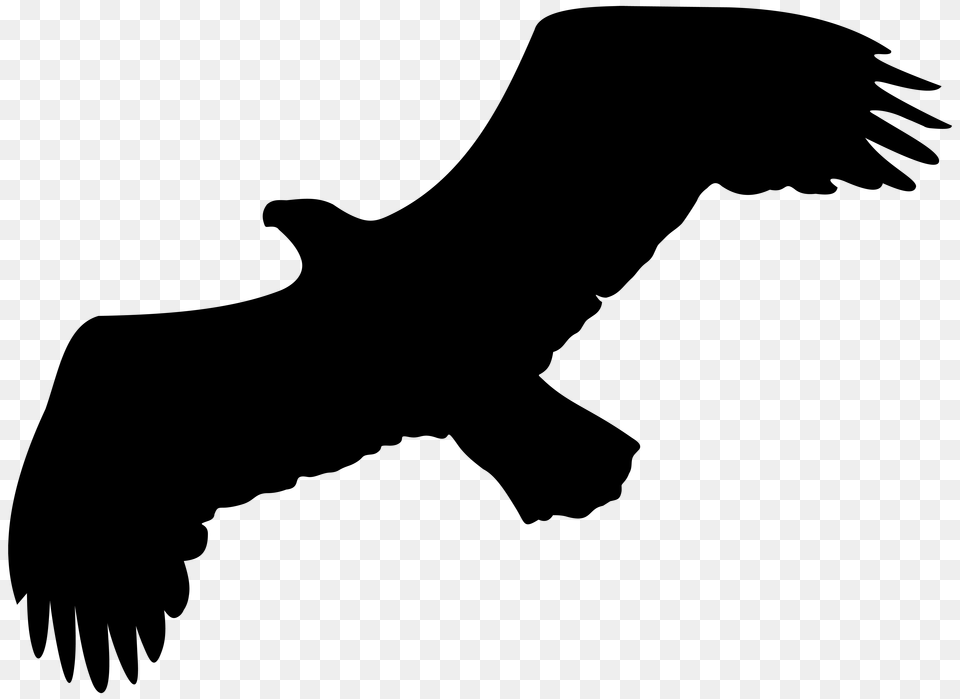 Eagle Silhouette Clip Free Transparent Png