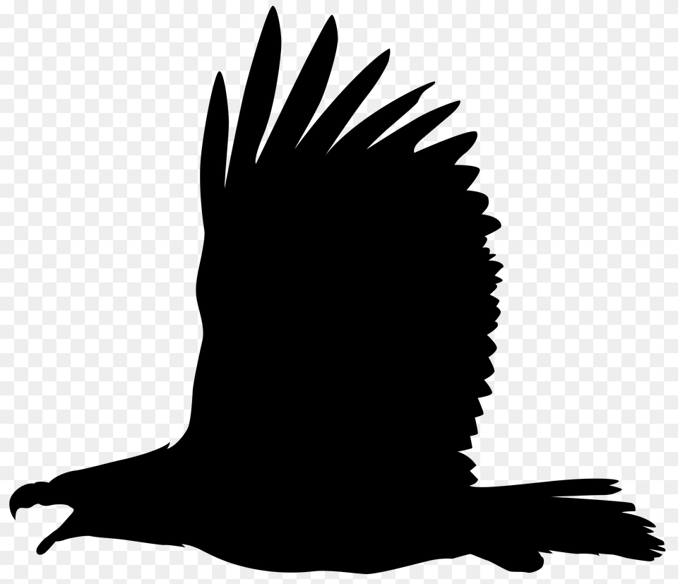 Eagle Silhouette Clip Art, City Png