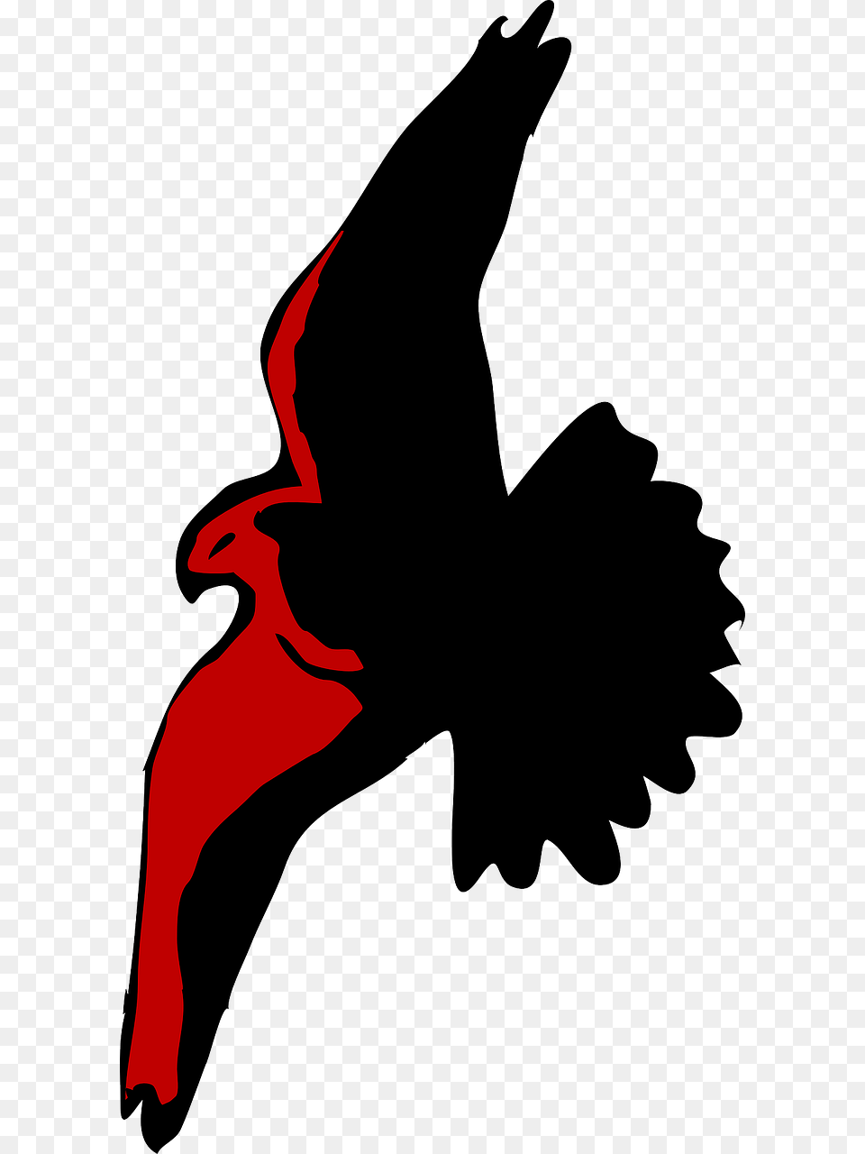 Eagle Silhouette Spread Flying Image Flying Eagle Illustration, Animal, Bird, Blackbird, Beak Free Png Download