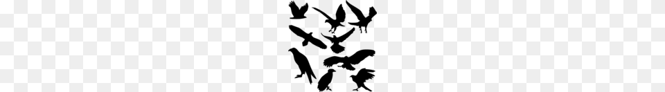 Eagle Silhouettes Clipart, Gray Png Image