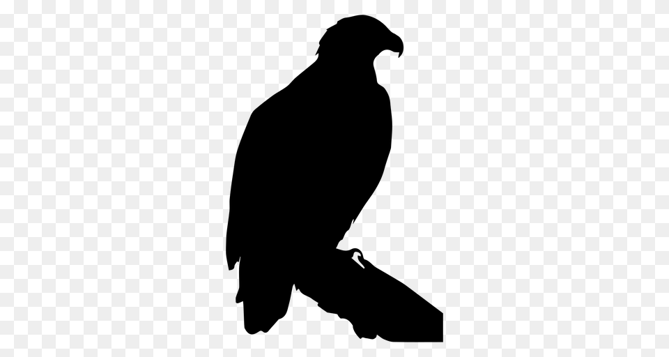 Eagle Standing Silhouette, Gray Free Png