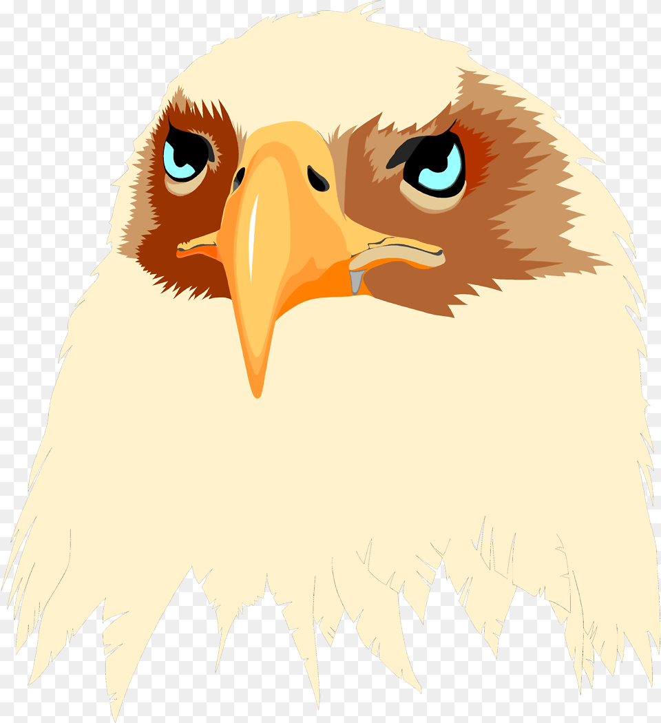 Eagle Stock Illustration Of Head Eagle Usa, Animal, Beak, Bird, Bear Free Png