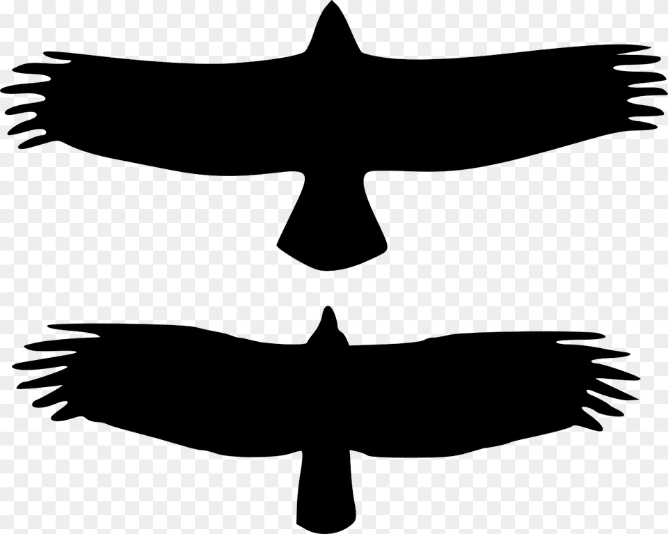 Eagle Vs Vulture Silhouette, Gray Png