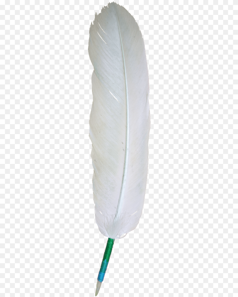 Eagle White Feather, Bottle Png