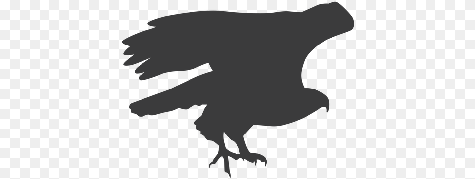 Eagle Wing Fly Flying Beak Talon Silhouette Bird Automotive Decal, Baby, Person, Animal, Vulture Free Png