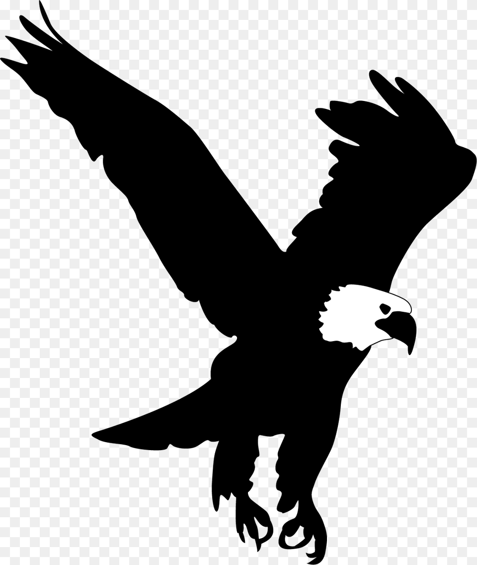 Eagle Wing Silhouette At Getdrawings Transparent Eagle Silhouette, Animal, Bird, Person Free Png