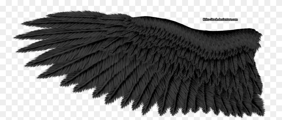 Eagle Wing Transparent Background, Animal, Bird, Vulture Free Png