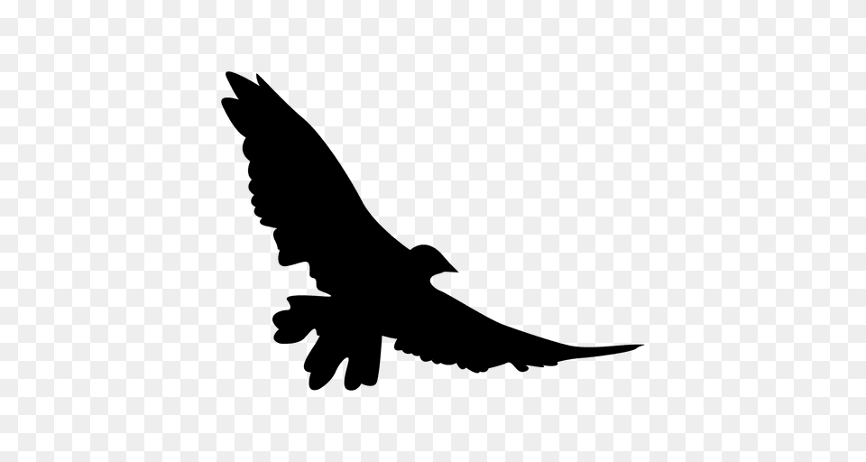 Eagle Wings Flying, Animal, Bird, Vulture, Silhouette Free Transparent Png