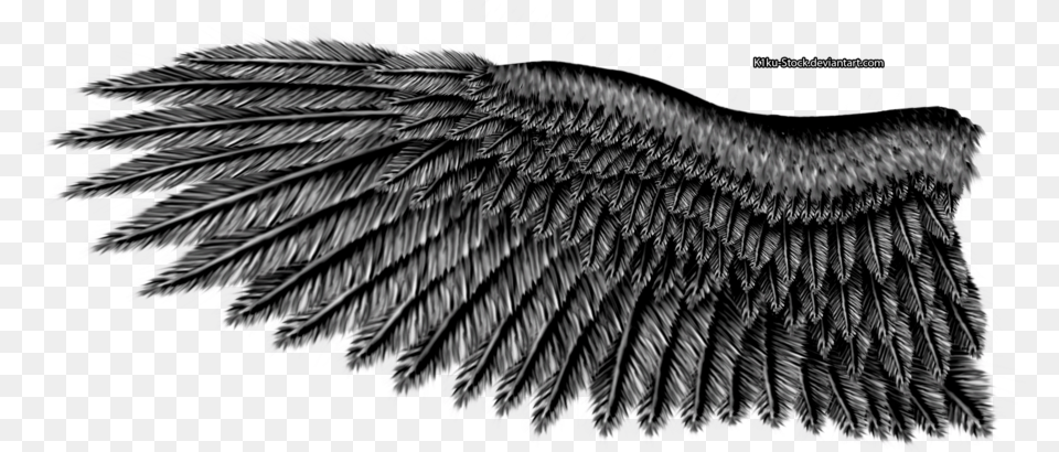 Eagle Wings Image Black Eagle Wings, Animal, Bird, Vulture, Accessories Png