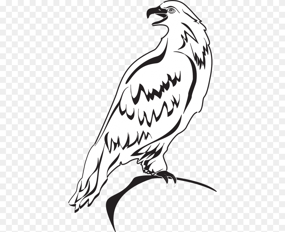 Eagle Wings Spread Clipart Clip Art Outline Image Of Eagle, Animal, Bird, Vulture, Person Free Png Download