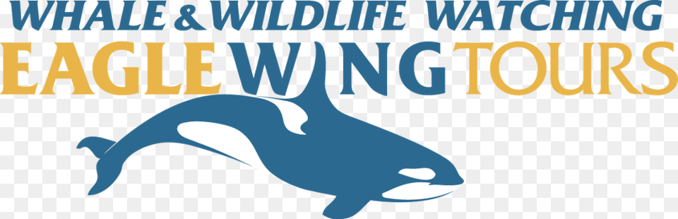 Eagle Wings Tours, Animal, Sea Life, Mammal, Orca Free Transparent Png