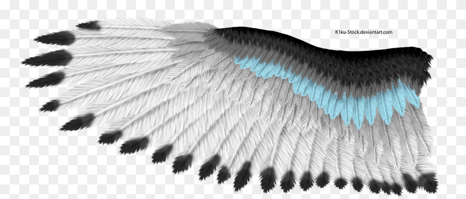 Eagle Wings White Feather Texture Eagle, Animal, Bird, Accessories, Vulture Free Png Download