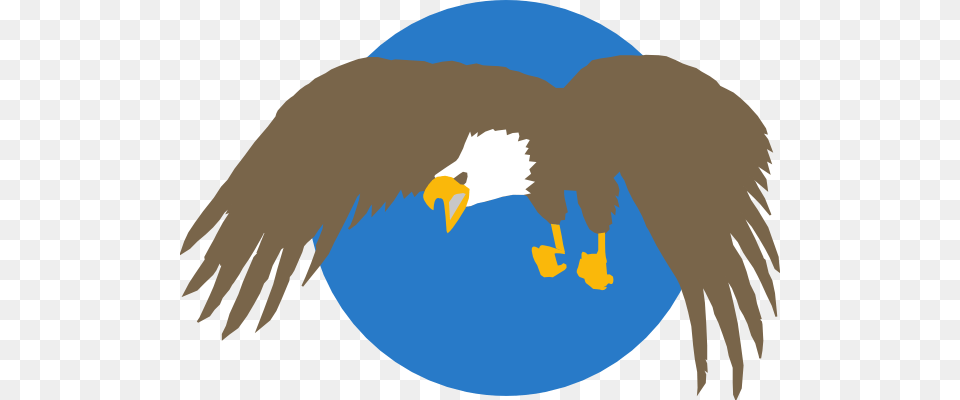 Eagle With Blue Circle Background Clip Art For Web, Animal, Bird, Bald Eagle Png Image