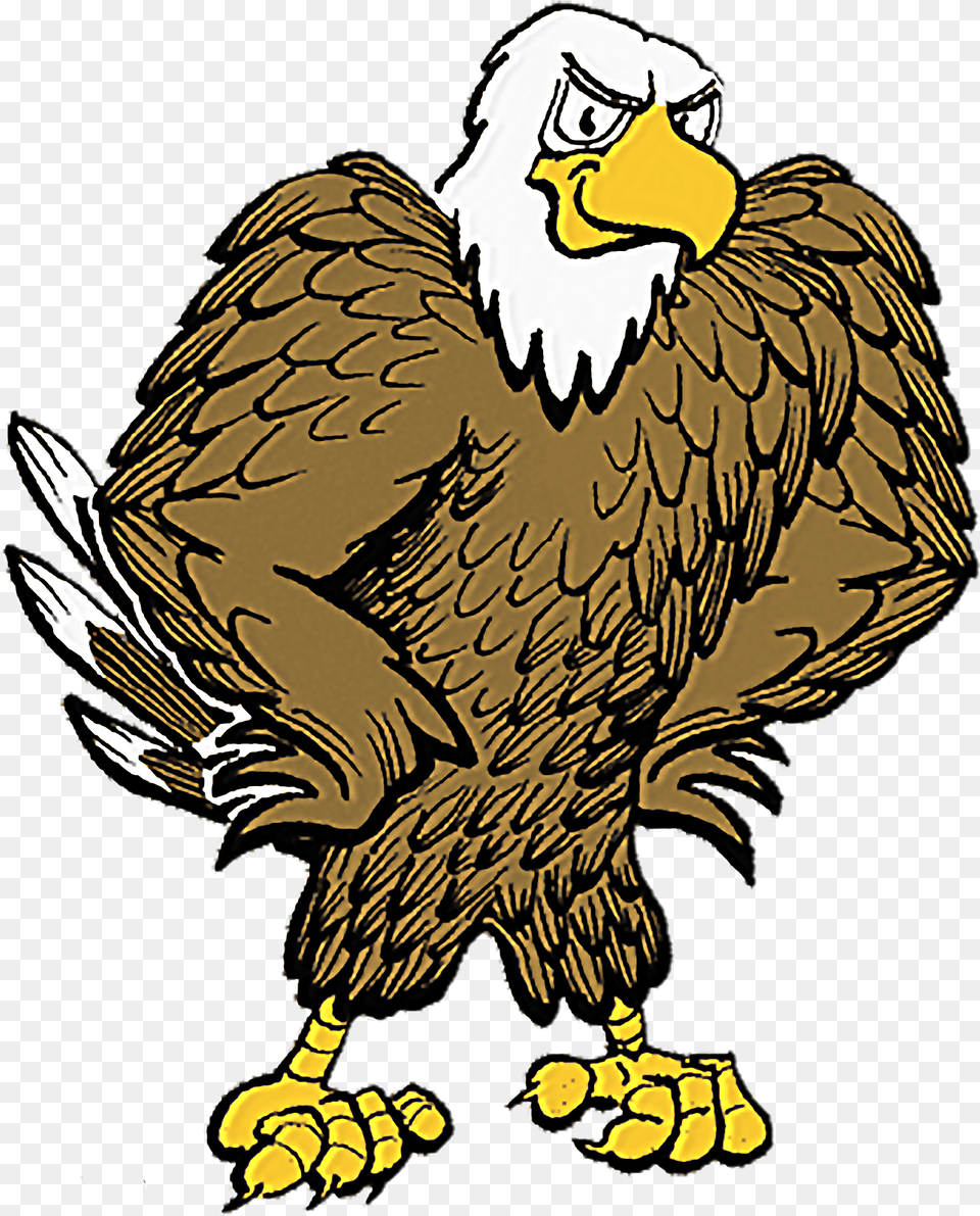 Eagle With Football Clipart Library Eagle Eagle Clip Art, Animal, Beak, Bird, Adult Free Transparent Png