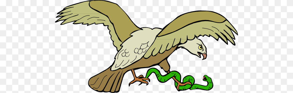 Eagle With Snake Clip Art, Animal, Dinosaur, Reptile, Bird Free Transparent Png