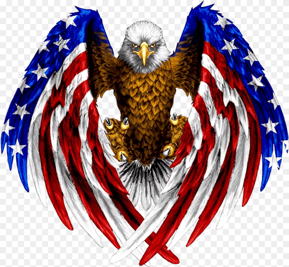 Eagle With The American Flag, Animal, Bird Free Png