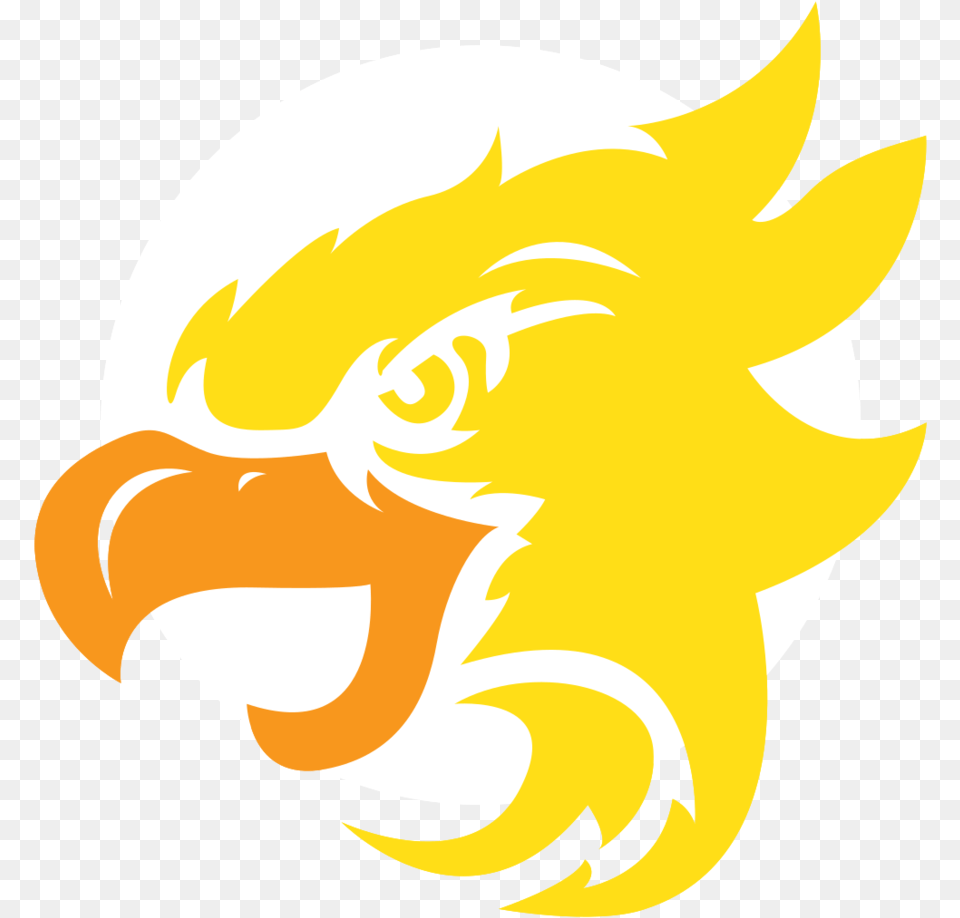 Eagle With Transparent Background Automotive Decal, Animal, Beak, Bird, Fish Free Png Download