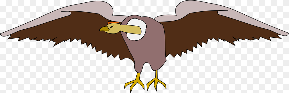 Eaglebald Eaglevulture, Animal, Bird, Vulture, Cartoon Png