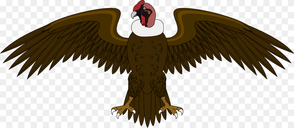 Eaglebald Eaglevulture El Condor Del Escudo De Colombia, Animal, Bird, Vulture, Beak Png