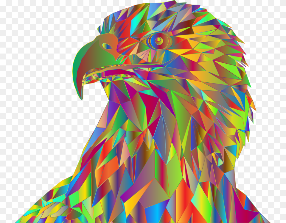 Eaglebirdbald Eagle Illustration, Animal, Adult, Female, Person Free Png