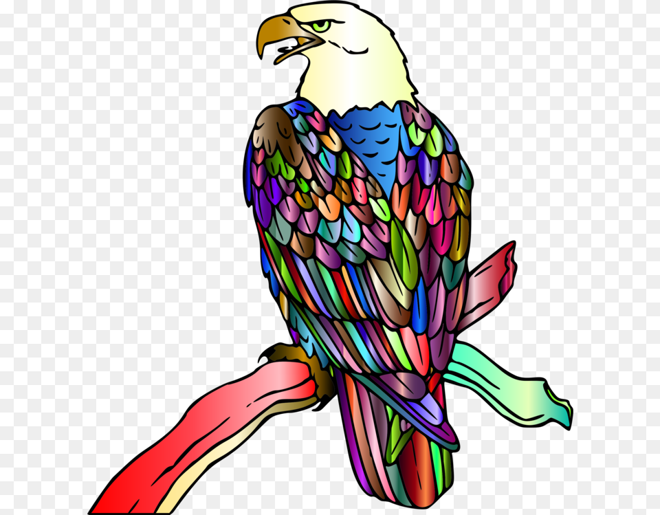Eaglefalconiformeskite Bald Eagle Coloring Page, Animal, Bird, Beak Free Png