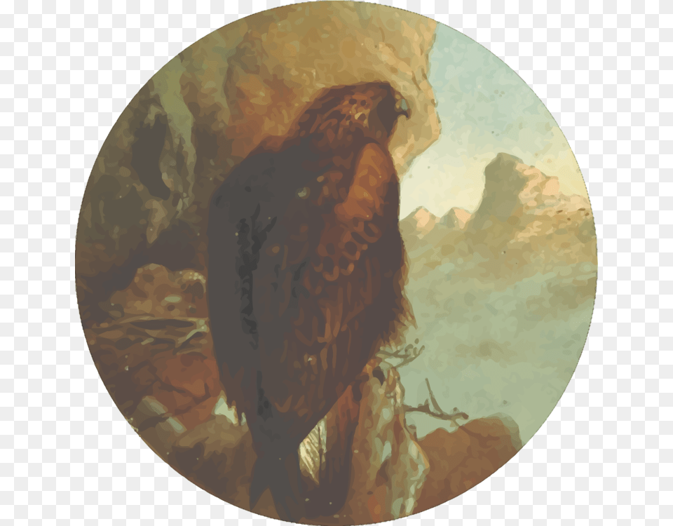 Eaglefaunafeathered Favourites British Birds Red Tailed Hawk, Art, Painting, Animal, Bird Png Image