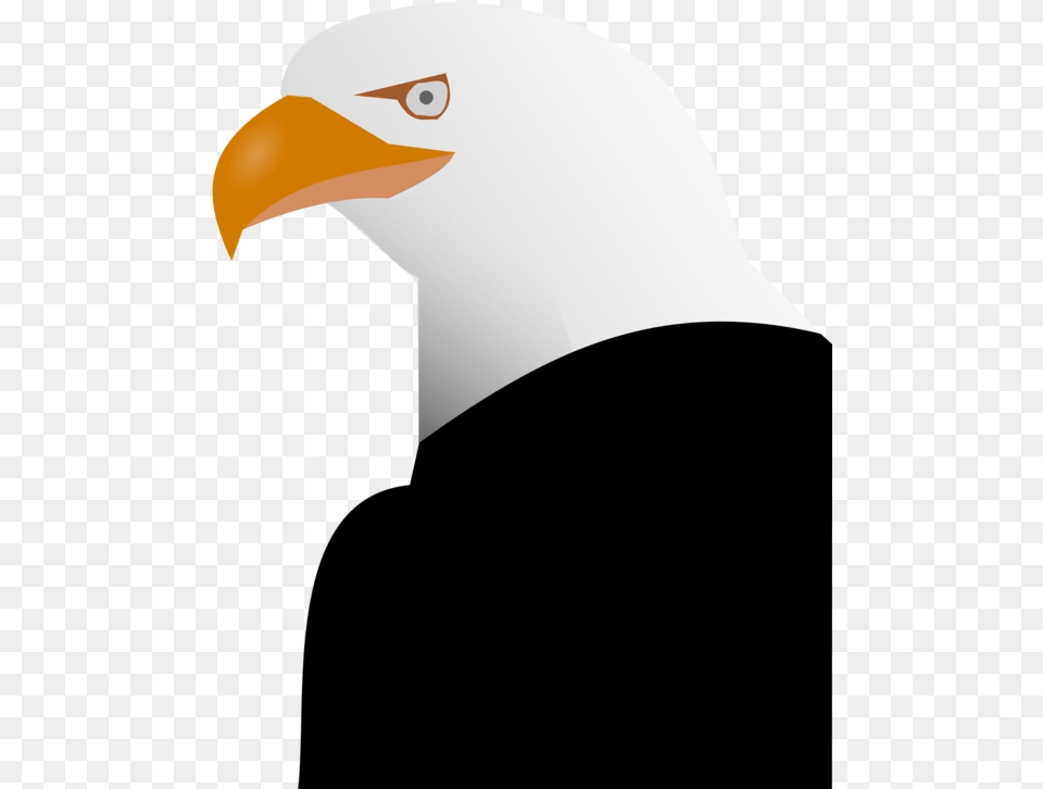 Eagleneckbald Eagle Clip Art, Animal, Beak, Bird, Bald Eagle Free Transparent Png