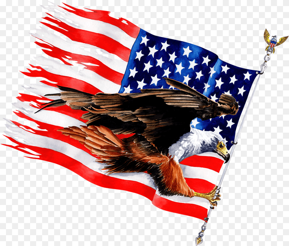 Eagles And Flags, American Flag, Flag, Animal, Bird Png Image