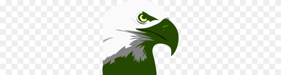 Eagles Clipart, Animal, Beak, Bird, Eagle Free Transparent Png