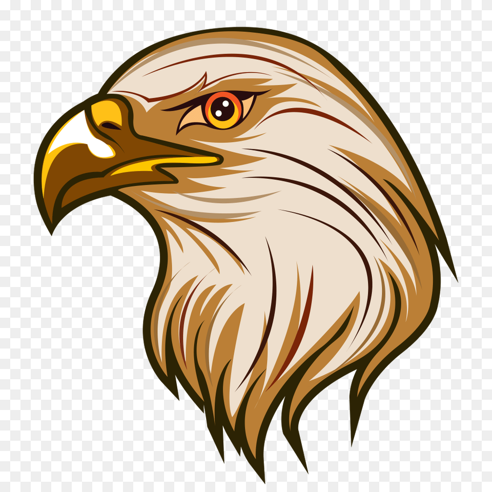 Eagles Clipart Bird Transparent For Eagle Clip Arts, Animal, Beak, Person Free Png