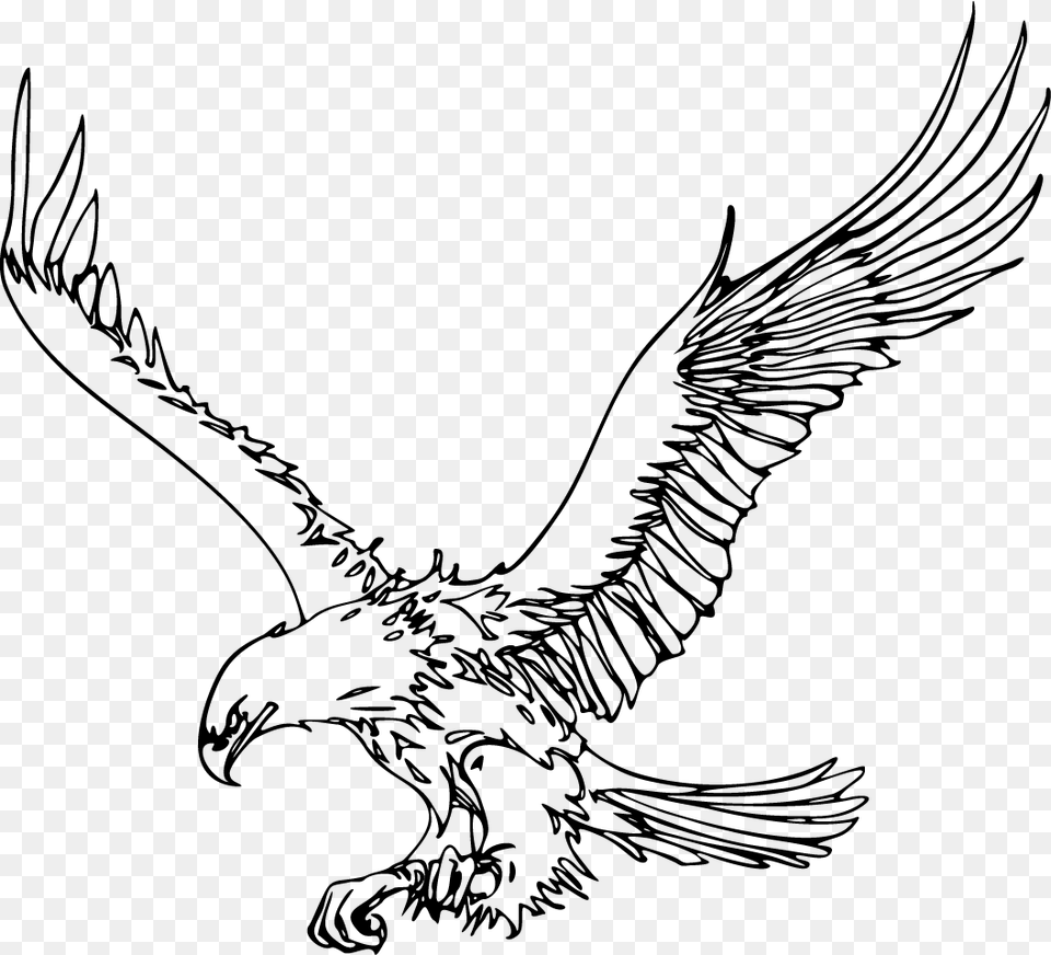 Eagles Clipart Black And White Outline Images Of Eagle, Gray Free Png Download
