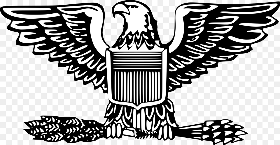 Eagles Clipart Hawk Air Force Colonel Insignia, Emblem, Symbol, Person Png Image