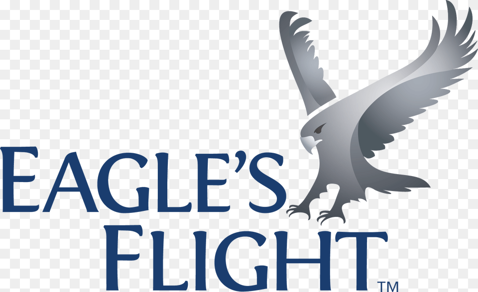 Eagles Flight Logo, Animal, Bird, Kite Bird, Flying Free Png